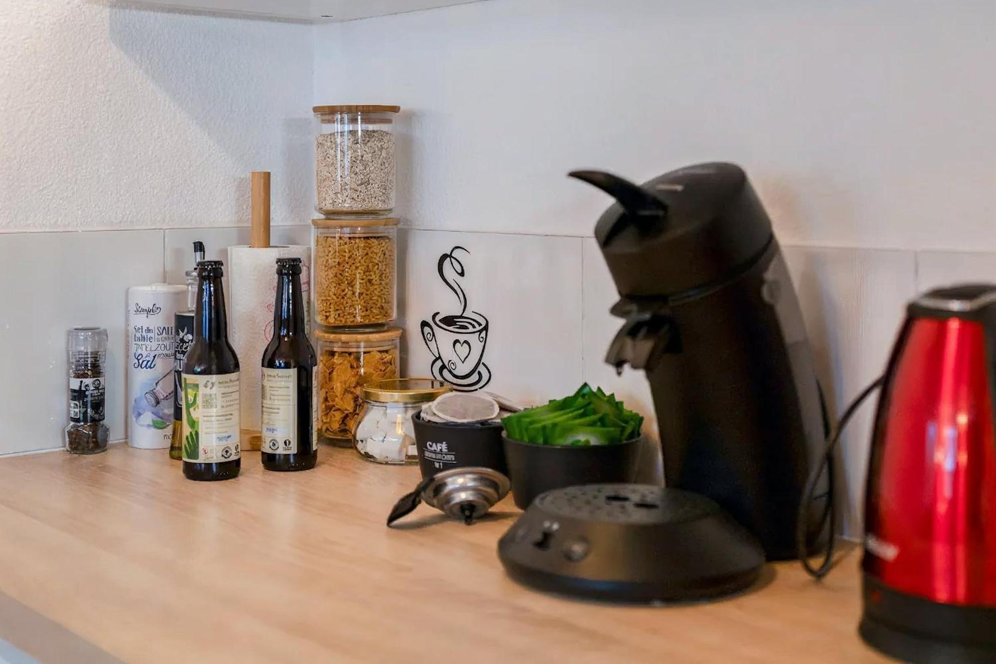 Superbe Appartement - Parking Gratuit - 4 Personnes Chambéry Zewnętrze zdjęcie